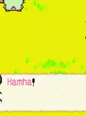 Hamtaro: Rainbow Rescue