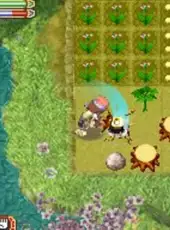 Rune Factory 2: A Fantasy Harvest Moon