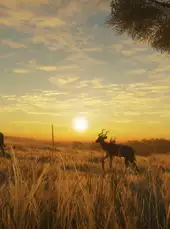 TheHunter: Call of the Wild - Vurhonga Savanna