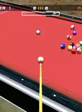 International Pool Championship