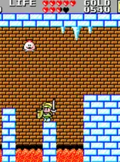 Wonder Boy in Monster Land