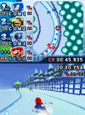 Mario & Sonic at the Olympic Winter Games