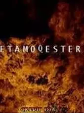 Metamoqester