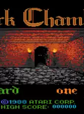 Dark Chambers