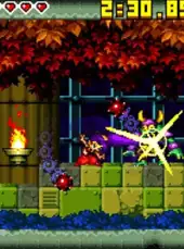 Shantae: Risky's Revenge - Director's Cut