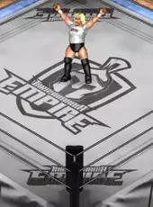 Fire Pro Wrestling World: Yoshihiro Takayama Charity DLC Part 2