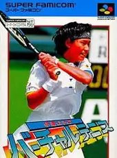 Date Kimiko no Virtual Tennis