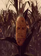 Maize