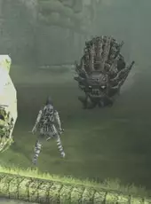 Shadow of the Colossus