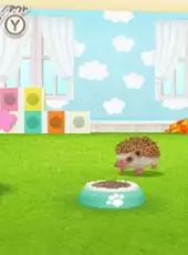 Kawaii Pet to Kurasou! Wan Nyan & Mini Mini Animal