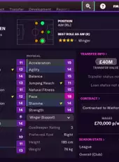 Football Manager 2022 Touch