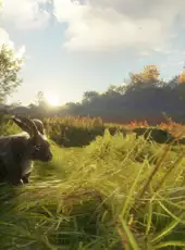 TheHunter: Call of the Wild - Free Species: European Rabbit