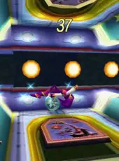 Nights Into Dreams