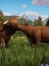 Planet Zoo: Barnyard Animal Pack