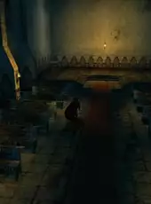 The Shadow of Zorro