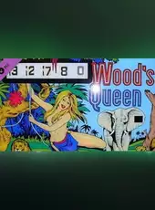 Zaccaria Pinball: Wood's Queen Table