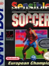 Sensible Soccer: European Champions