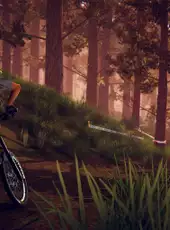 Descenders