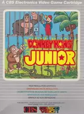 Donkey Kong Junior