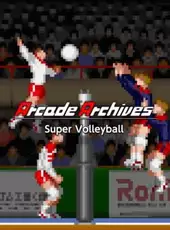 Arcade Archives: Super Volleyball