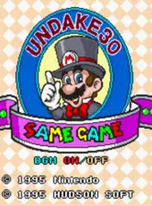 Undake30 SameGame Daisakusen Mario Version