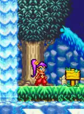 Shantae Advance: Risky Revolution