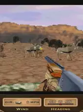 Deer Hunt Challenge