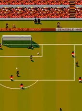 Sensible World of Soccer '96/'97