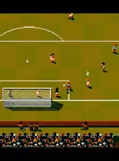 Sensible World of Soccer '96/'97