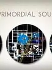 Primordial Soup