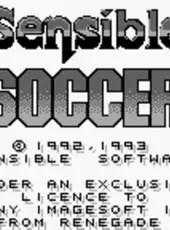 Sensible Soccer: European Champions