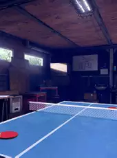 VR Ping Pong Pro