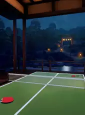 VR Ping Pong Pro