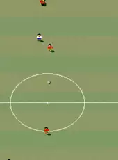 Sensible Soccer: European Champions