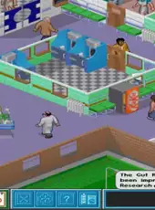 Theme Hospital