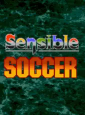 International Sensible Soccer