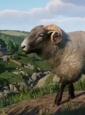 Planet Zoo: Barnyard Animal Pack