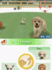 Nintendogs: Chihuahua & Friends