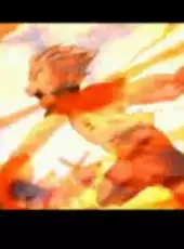 Inazuma Eleven 2: Firestorm