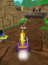 Crash Bandicoot Nitro Kart 2