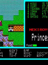 Princess Quest