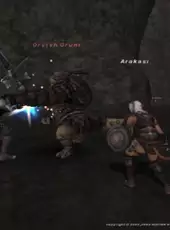 Final Fantasy XI: Vana'diel Collection 2008