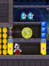 New Super Mario Bros. 2: Coin Challenge Pack B