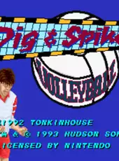 Dig & Spike Volleyball