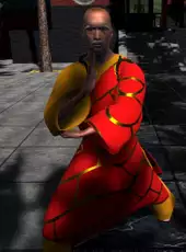 Dragon Fist: VR Kung Fu