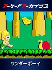 Arcade Archives: Wonder Boy