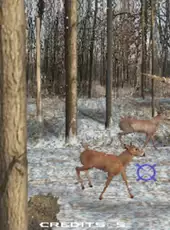 Big Buck Hunter