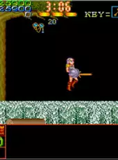 Arcade Archives: Legend of Makai