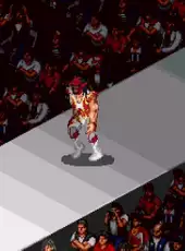 Fire Pro Wrestling S: 6 Men Scramble