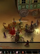 Neverwinter Nights: Shadows of Undrentide